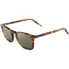 DELIO LARGE, Classic Tortoise-Mineral Polarized 555nm Cat 3 to 3, hi-res image number null